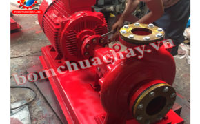 Điều kiện bảo hành máy bơm chữa cháy Ebara tại PCCC Thành Đạt