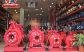 Một số lỗi thường gặp ở máy bơm chữa cháy Ebara