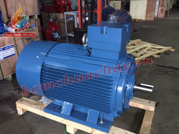 dong-co-dien-vicky-1