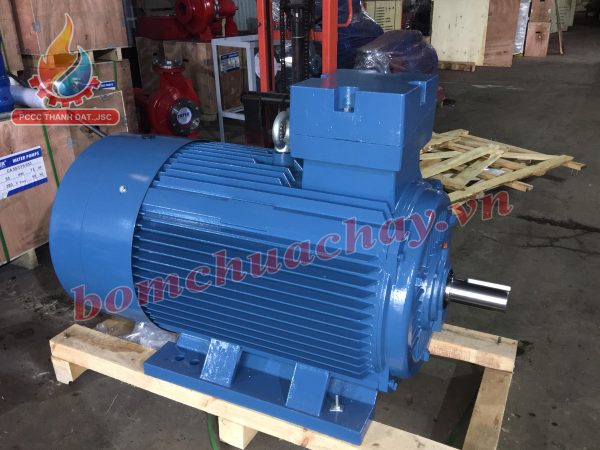 dong-co-dien-vicky-10