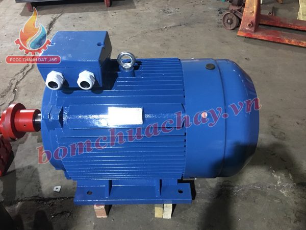 dong-co-dien-vicky-2