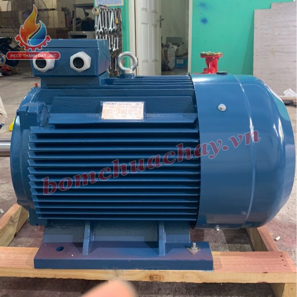 dong-co-dien-vicky-5