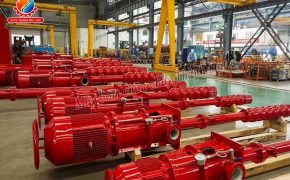 Catalogue bơm turbine trục đứng chữa cháy Vicky