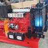 may-bom-chua-chay-inter-ca80-315-55-55kw-6